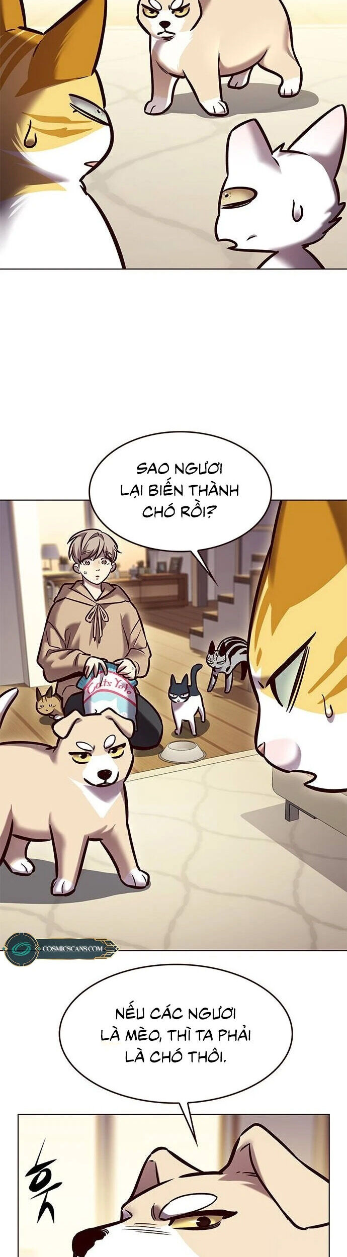 Hóa Thân Thành Mèo Chap 279 - Next Chap 280