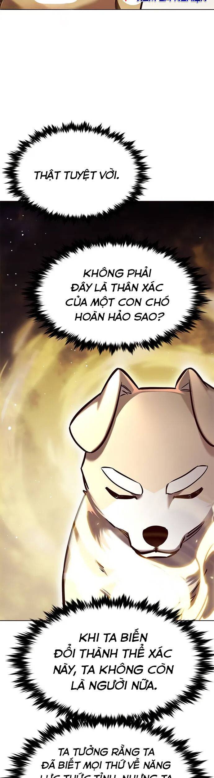 Hóa Thân Thành Mèo Chap 280 - Next Chap 281