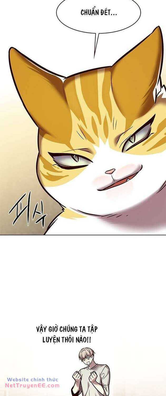 Hóa Thân Thành Mèo Chap 283 - Next Chap 284
