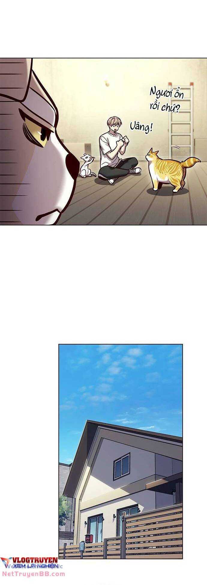 Hóa Thân Thành Mèo Chap 284 - Next Chap 285