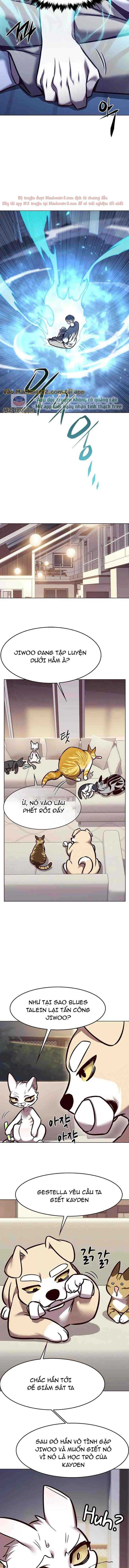 Hóa Thân Thành Mèo Chap 294 - Next Chap 295