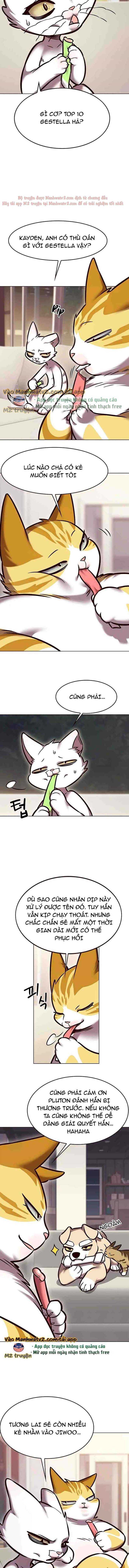 Hóa Thân Thành Mèo Chap 294 - Next Chap 295