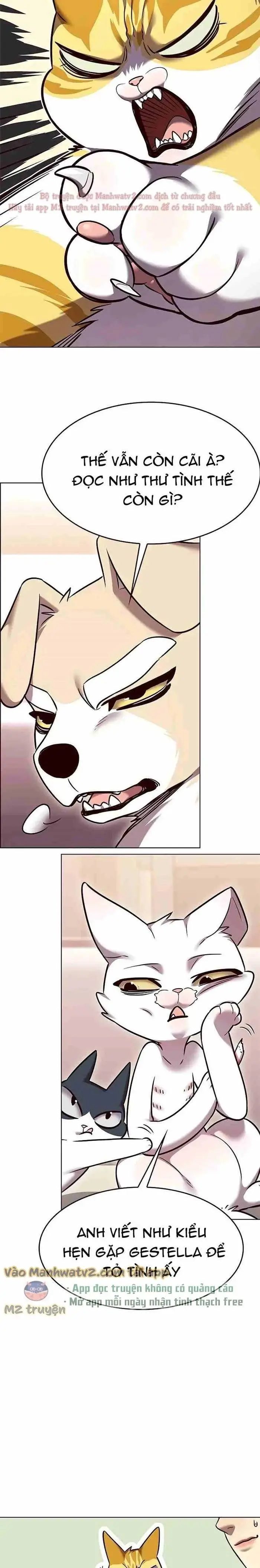 Hóa Thân Thành Mèo Chap 306 - Next Chap 307