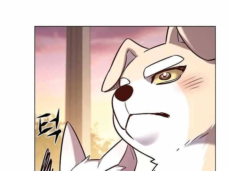 Hóa Thân Thành Mèo Chap 325 - Next Chap 326