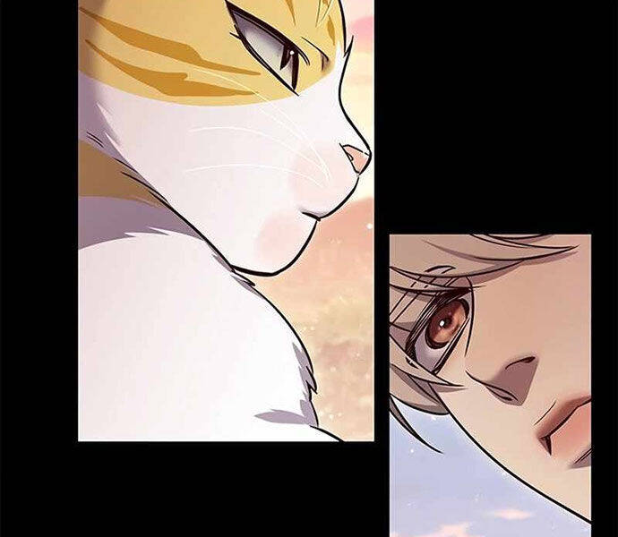 Hóa Thân Thành Mèo Chap 326 - Next Chap 327