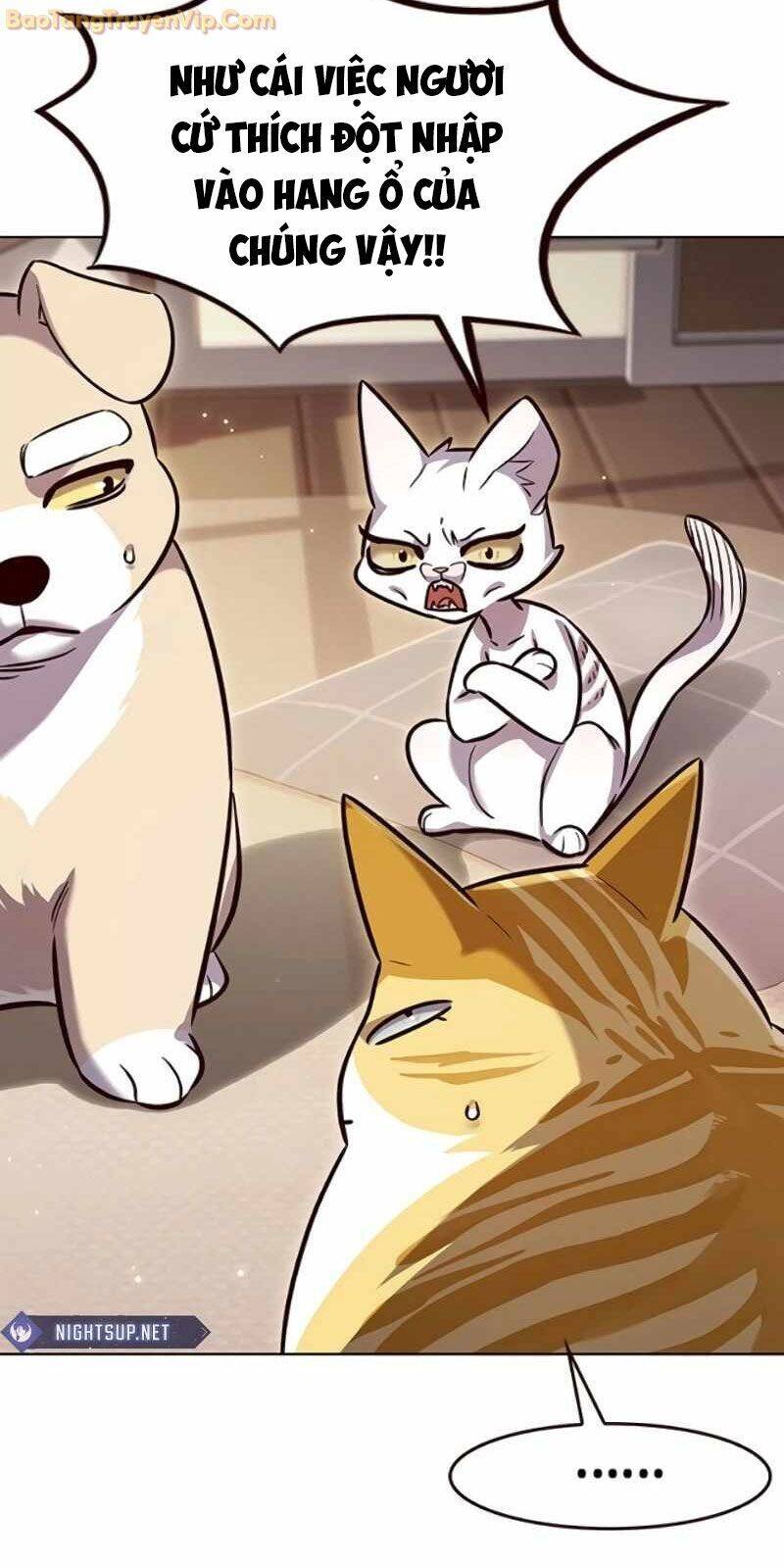 Hóa Thân Thành Mèo Chap 329 - Next Chap 330