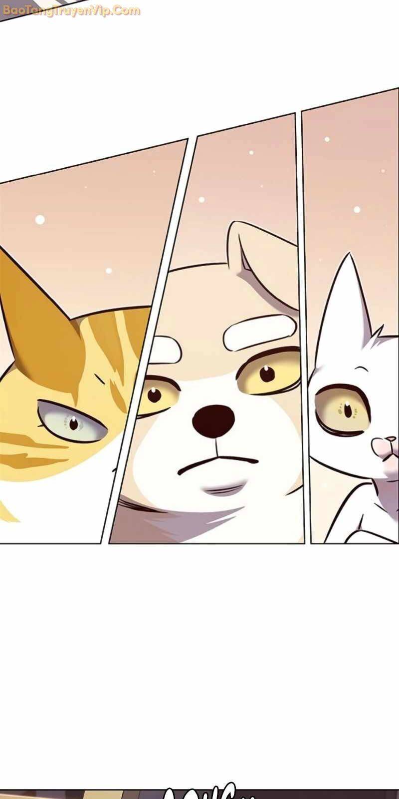 Hóa Thân Thành Mèo Chap 329 - Next Chap 330