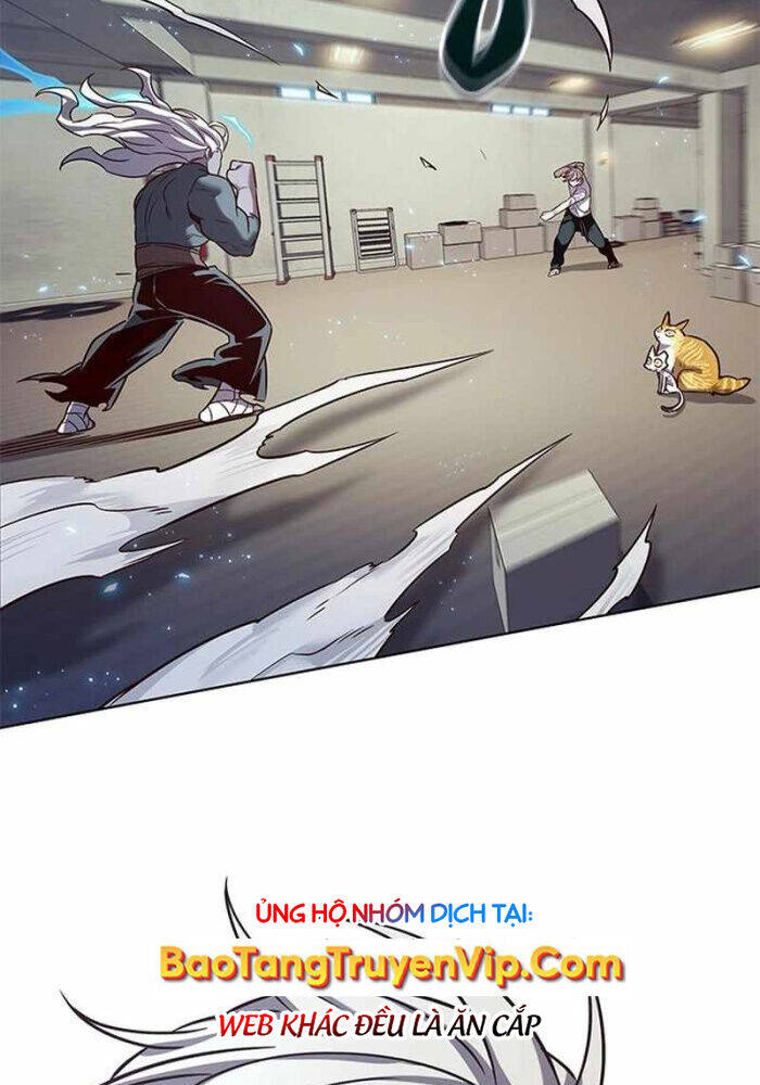 Hóa Thân Thành Mèo Chap 330 - Next Chap 331