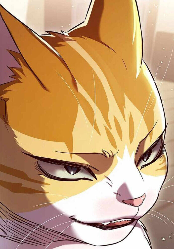 Hóa Thân Thành Mèo Chap 330 - Next Chap 331