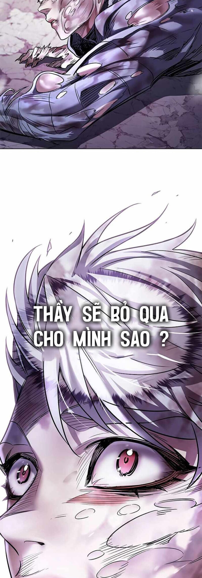 Hóa Thân Thành Mèo Chap 336 - Next Chap 337