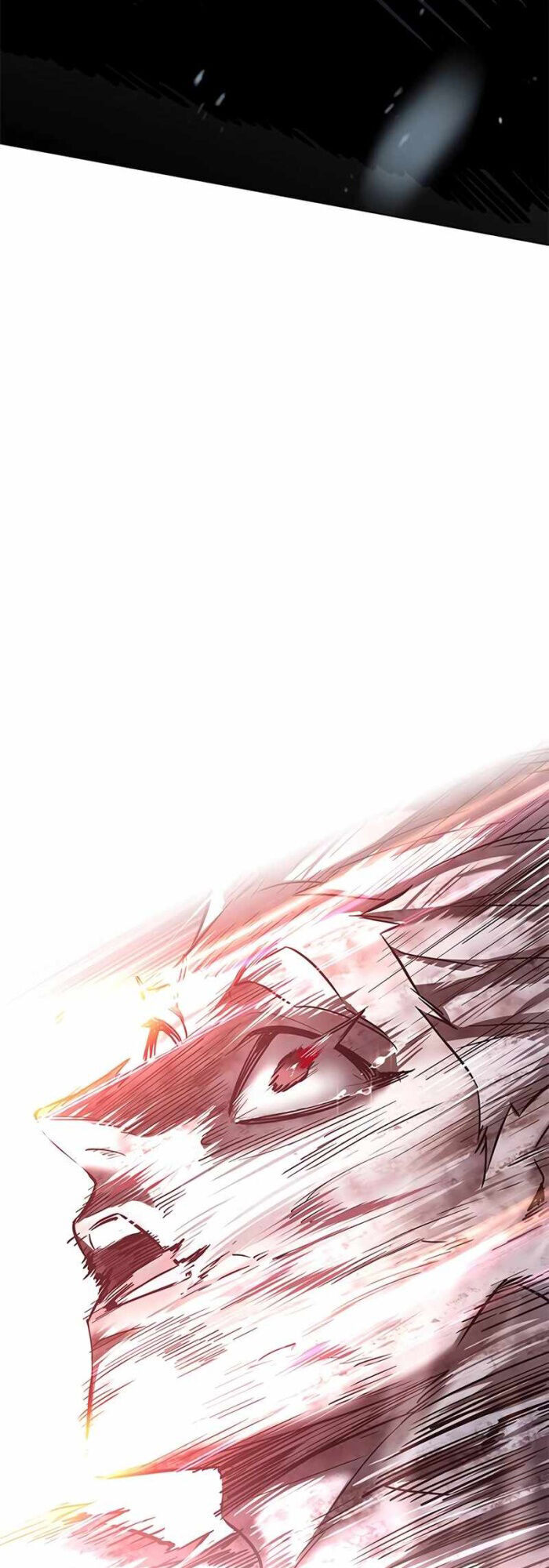 Hóa Thân Thành Mèo Chap 336 - Next Chap 337