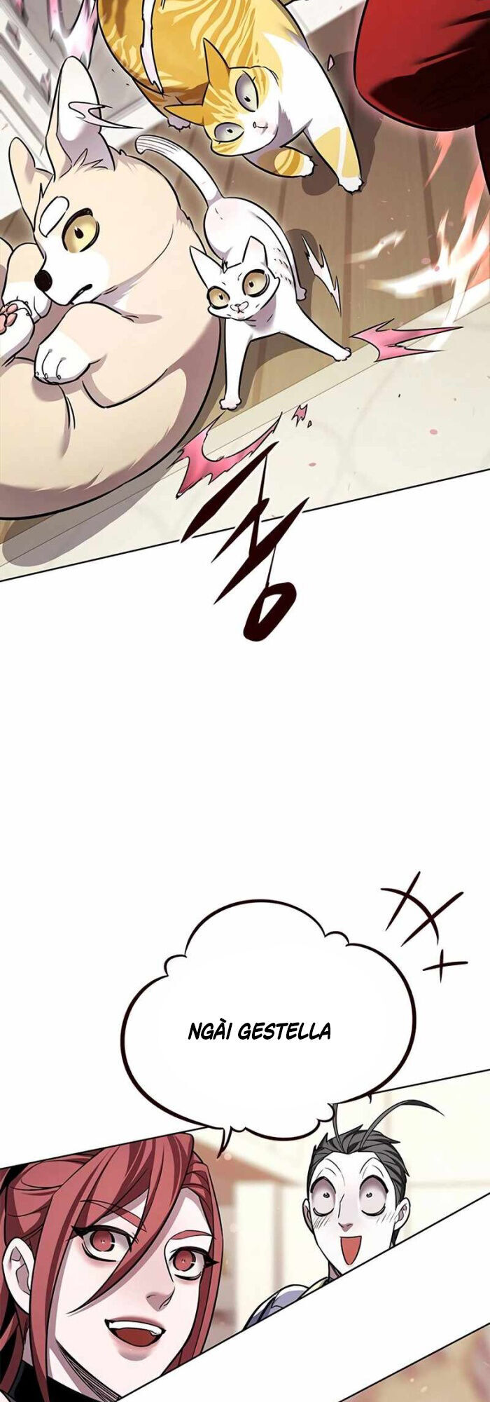 Hóa Thân Thành Mèo Chap 336 - Next Chap 337