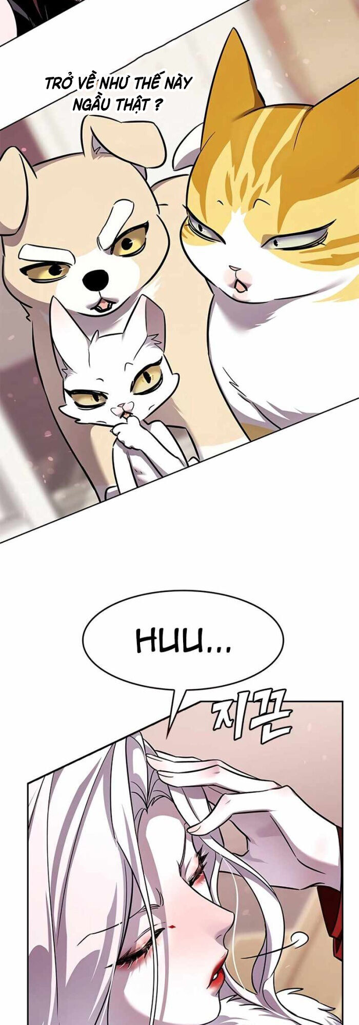 Hóa Thân Thành Mèo Chap 336 - Next Chap 337