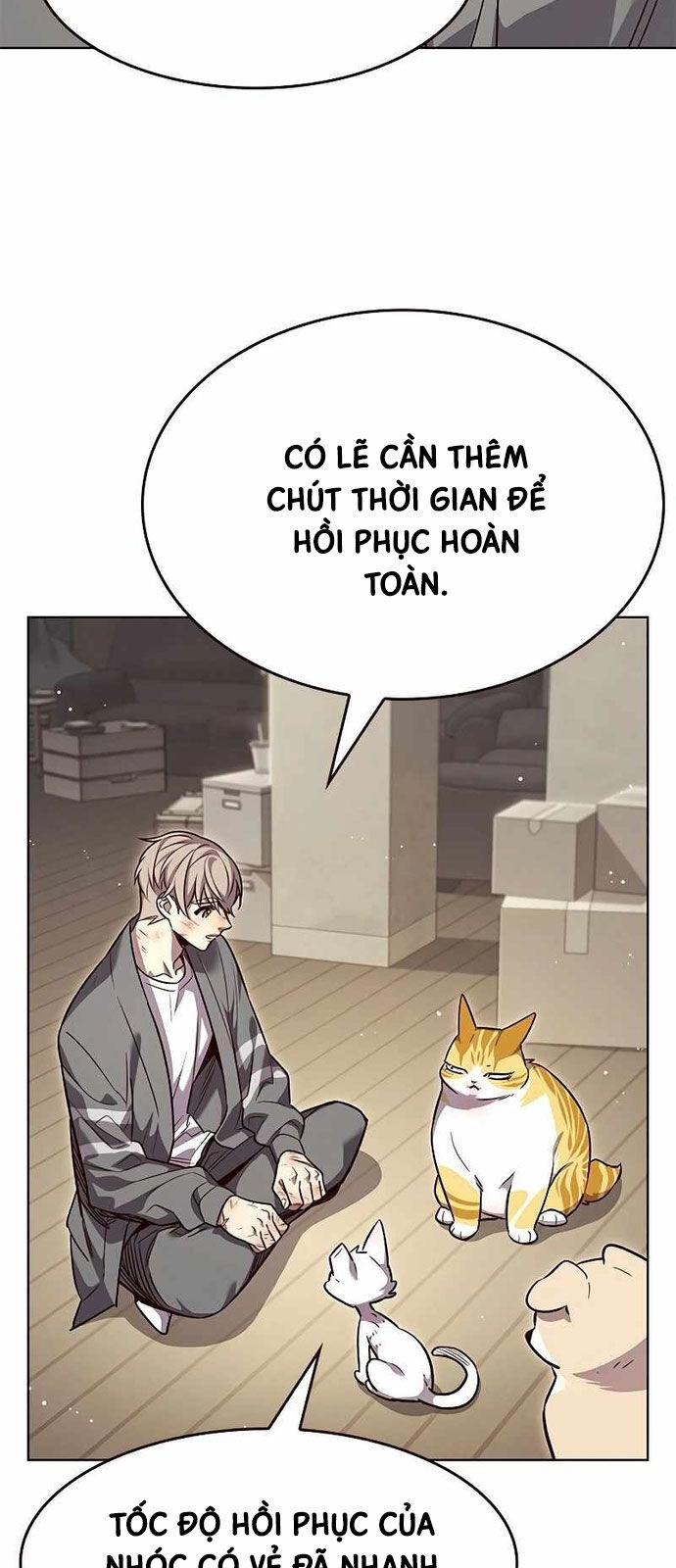 Hóa Thân Thành Mèo Chap 337 - Next Chap 338