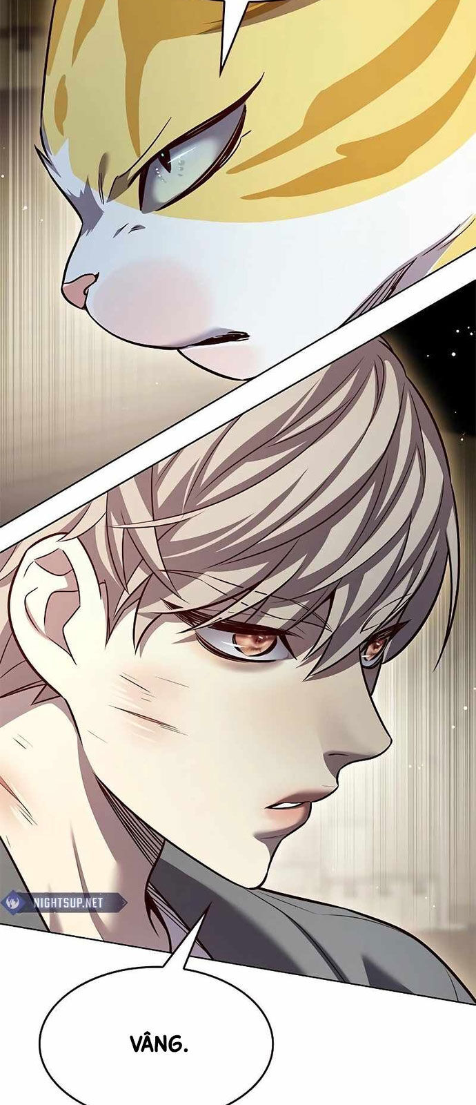 Hóa Thân Thành Mèo Chap 337 - Next Chap 338