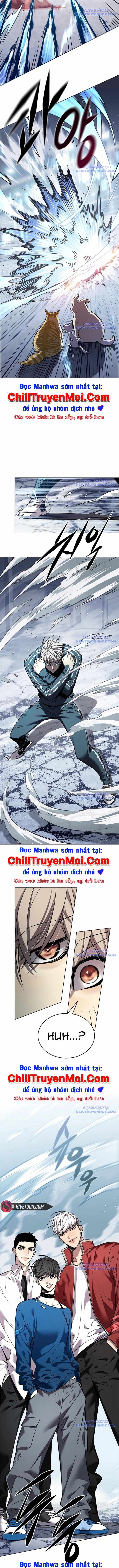 Hóa Thân Thành Mèo Chap 343 - Next Chap 344