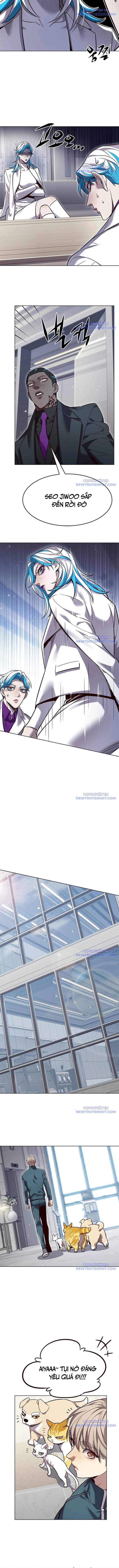 Hóa Thân Thành Mèo Chap 343 - Next Chap 344