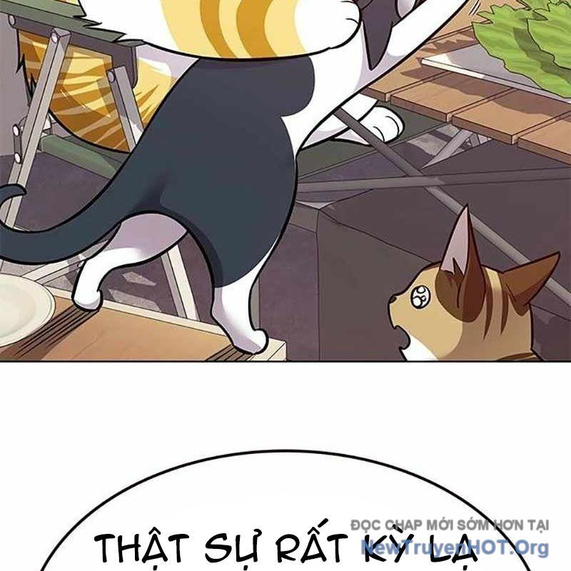 Hóa Thân Thành Mèo Chap 366 - Next Chap 367