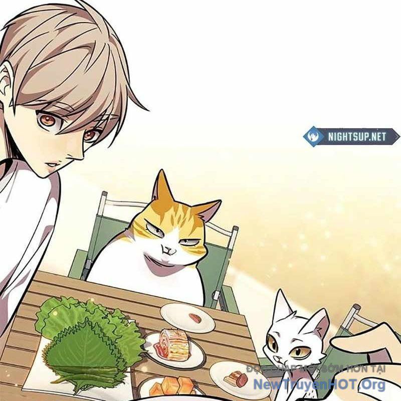 Hóa Thân Thành Mèo Chap 366 - Next Chap 367