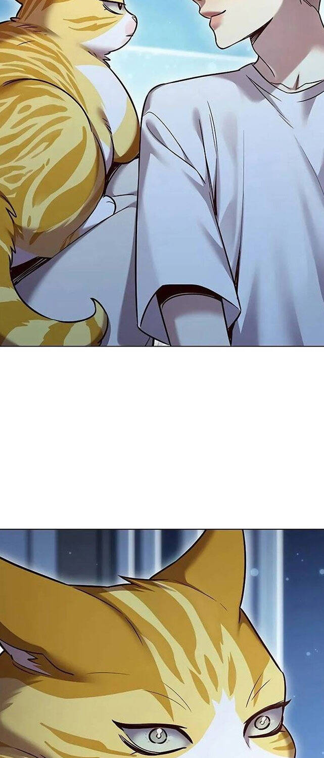 Hóa Thân Thành Mèo Chap 309 - Next Chap 310