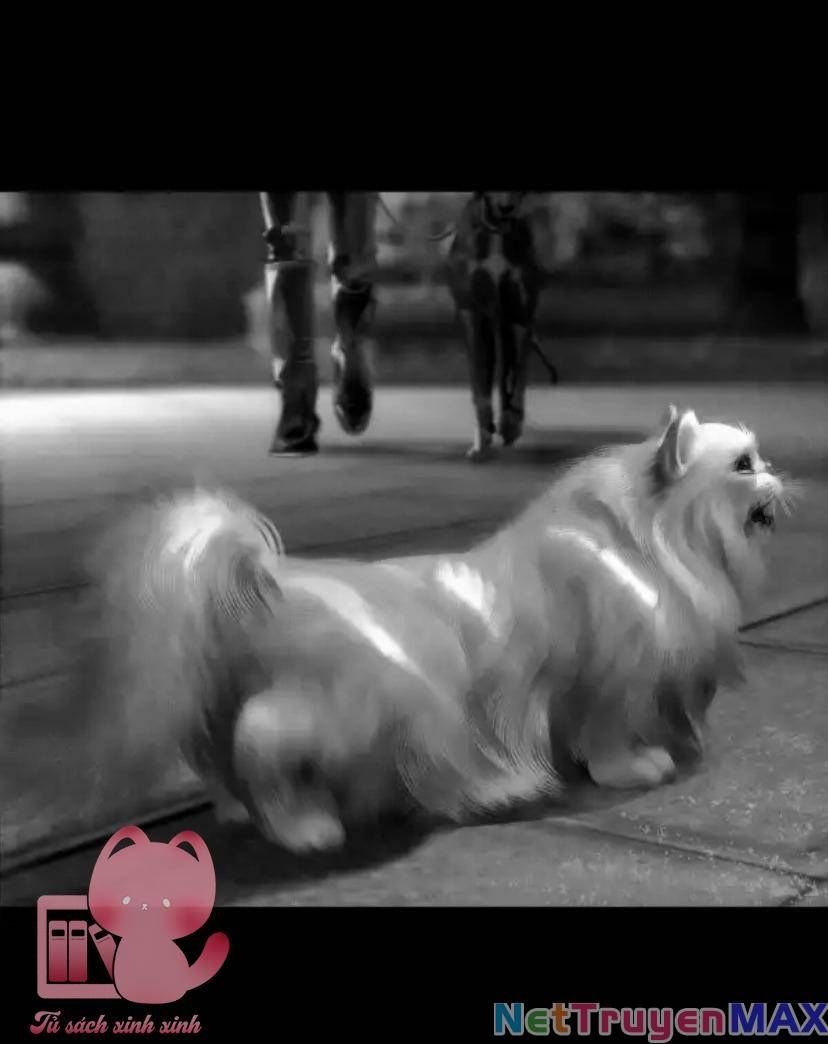 Senpai Kara Me Ga Hanasenai To Aru Kaishain No Nichijou Chap 46 - Next Chap 47