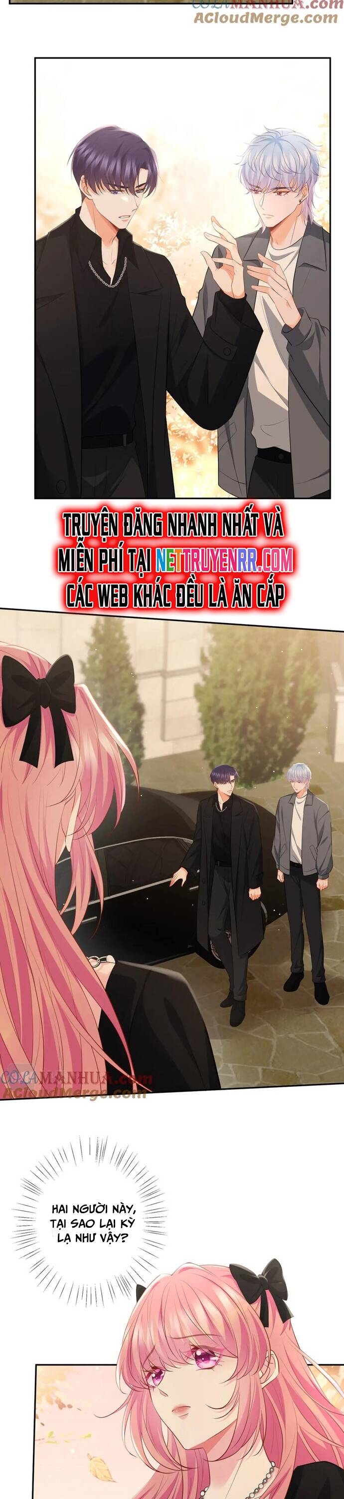 Danh Môn Chí Ái Chap 478 - Next Chap 479