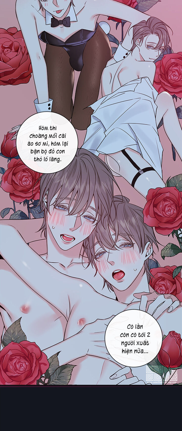 Bí Mật Của Nhân Viên K Chap 57 - Next Chap 58