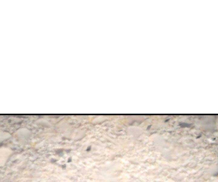 Sự Trở Lại Của Vị Thần Sức Mạnh Chap 66 - Next Chap 67