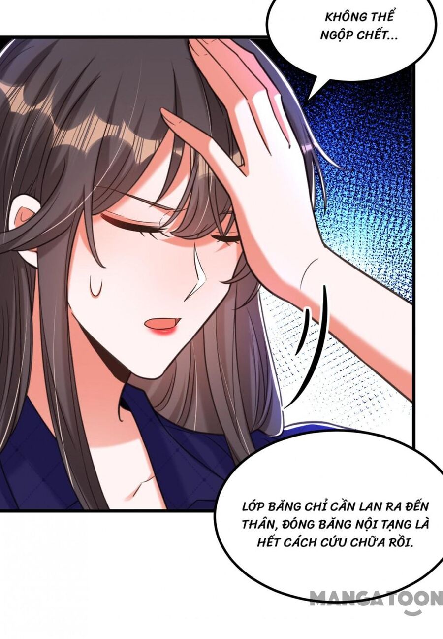 Trùng Sinh Không Gian: Cô Vợ Hào Môn Nóng Bỏng Không Dễ Chọc Chap 361 - Next Chap 362