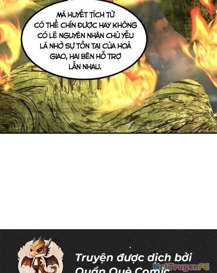 Hỗn Độn Đan Thần Chap 367 - Next Chap 368