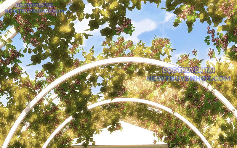 Ta Có Thể Thấy Tỉ Lệ Thành Công Chap 214 - Next Chap 215