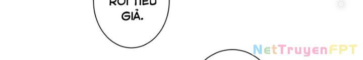 Ta Có Thể Thấy Tỉ Lệ Thành Công Chap 216 - Next Chap 217