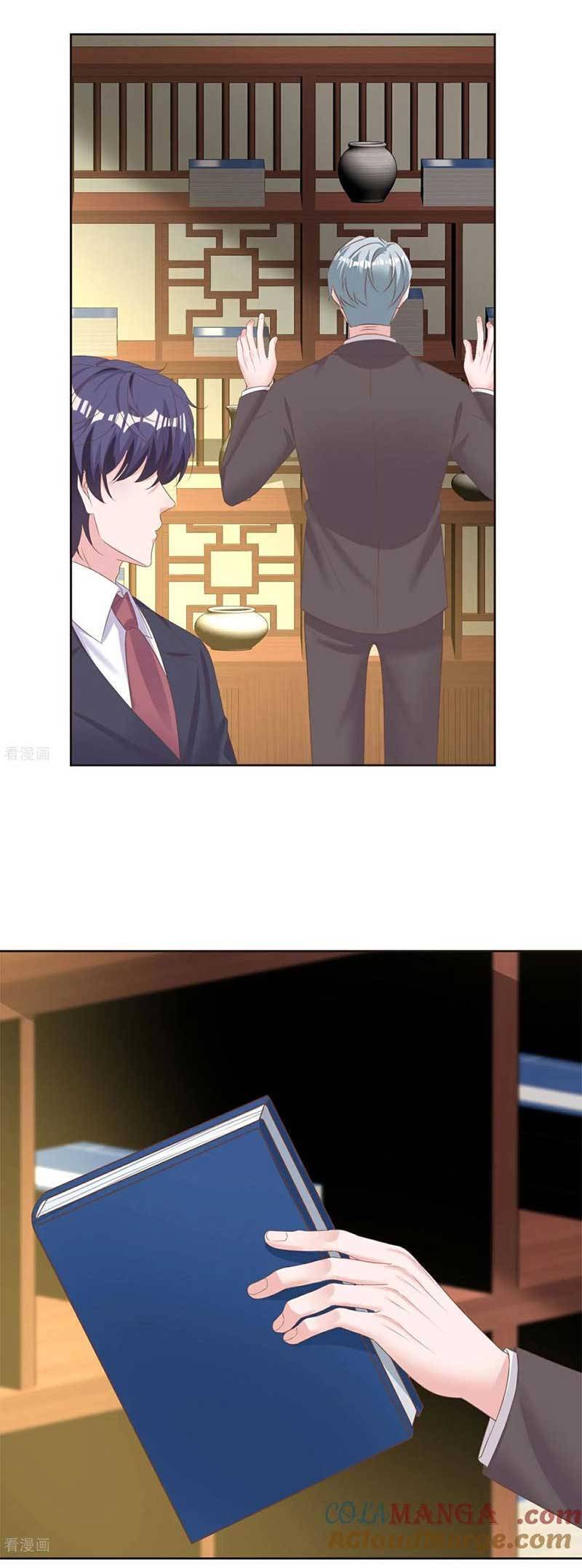 Băng Sơn Tổng Tài Sủng Thê Đến Vô Đạo Chap 282 - Next Chap 283