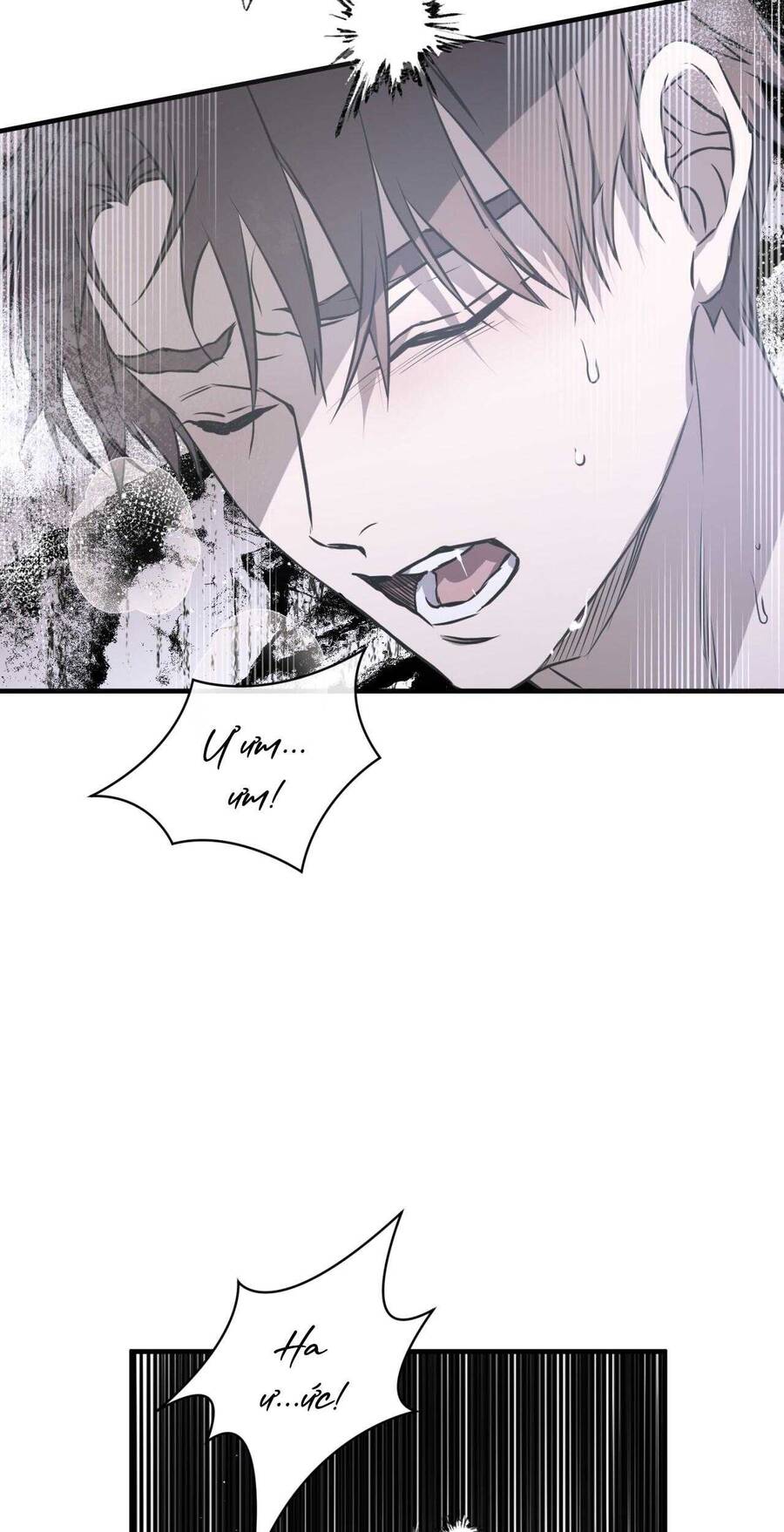 Sau Ánh Hào Quang Chap 19 - Next Chap 20