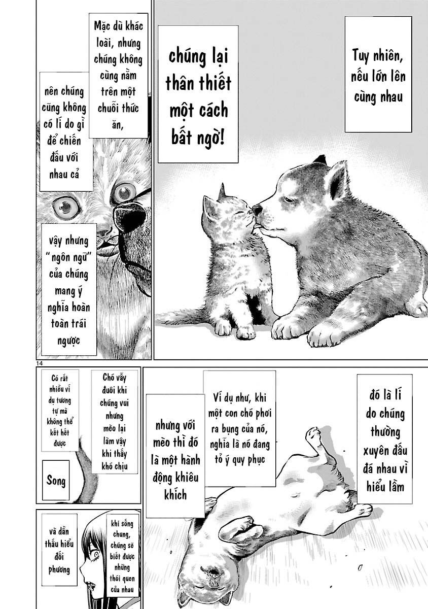 Killing Bites Chap 39 - Next Chap 40