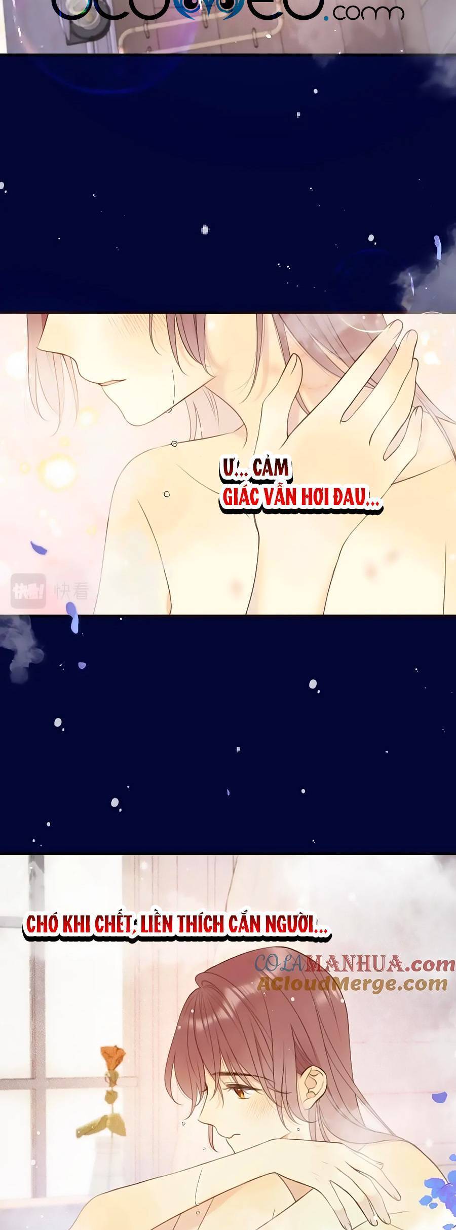 Lâu Tiểu Thư, Lại Gặp Nhau Rồi Chap 108 - Next Chap 109