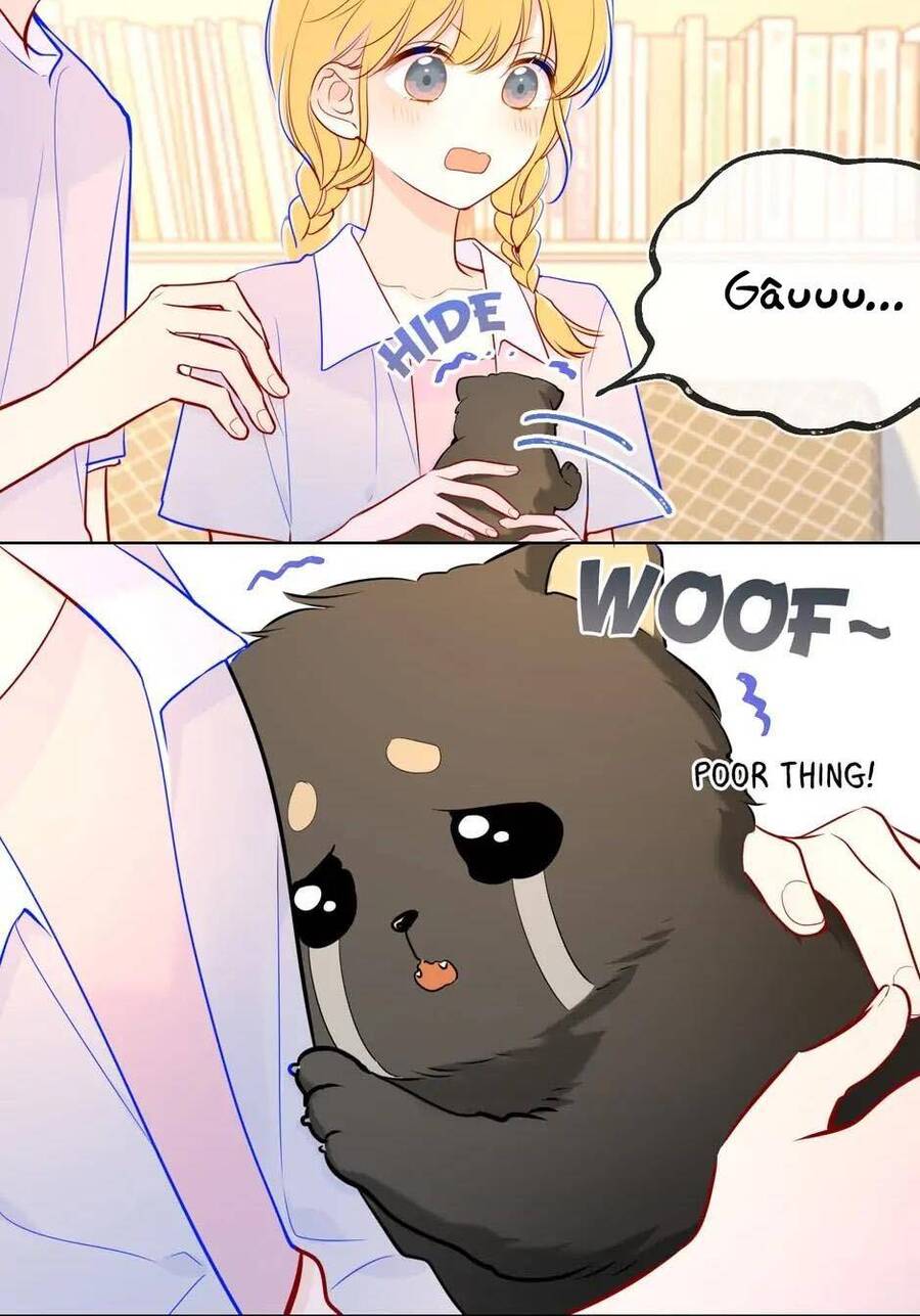 Ngôi Sao Cho Tôi Chap 79 - Next Chap 80