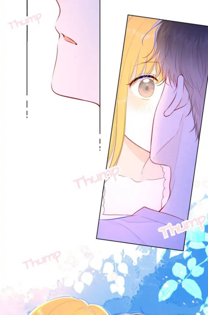 Ngôi Sao Cho Tôi Chap 97 - Next Chap 98