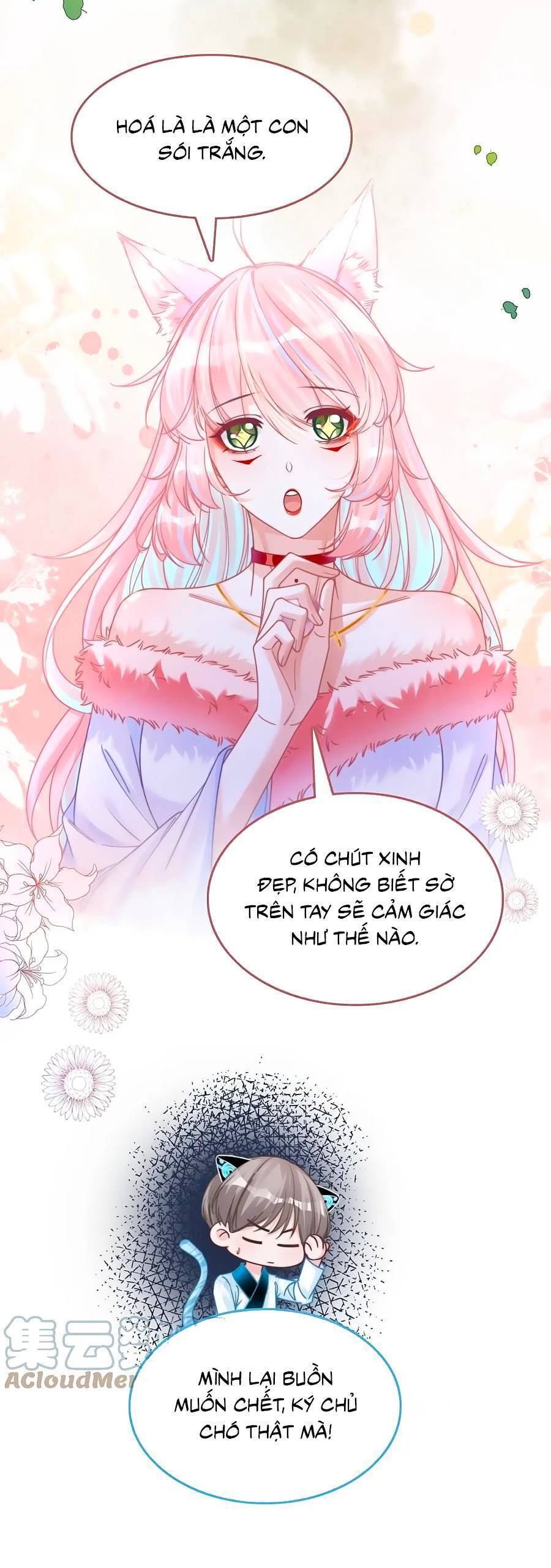 Xuyên Nhanh Nữ Phụ Bình Tĩnh Chút Chap 164 - Next Chap 165