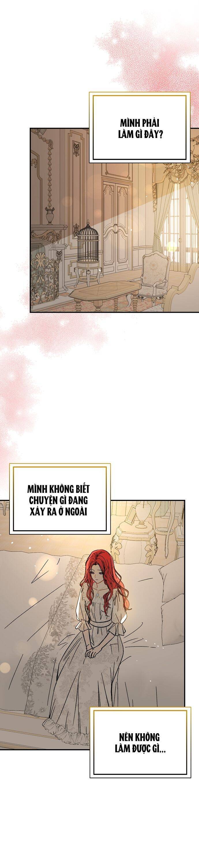 Tôi Không Cố Ý Quyến Rũ Nam Chính Đâu! Chap 65 - Next Chap 66