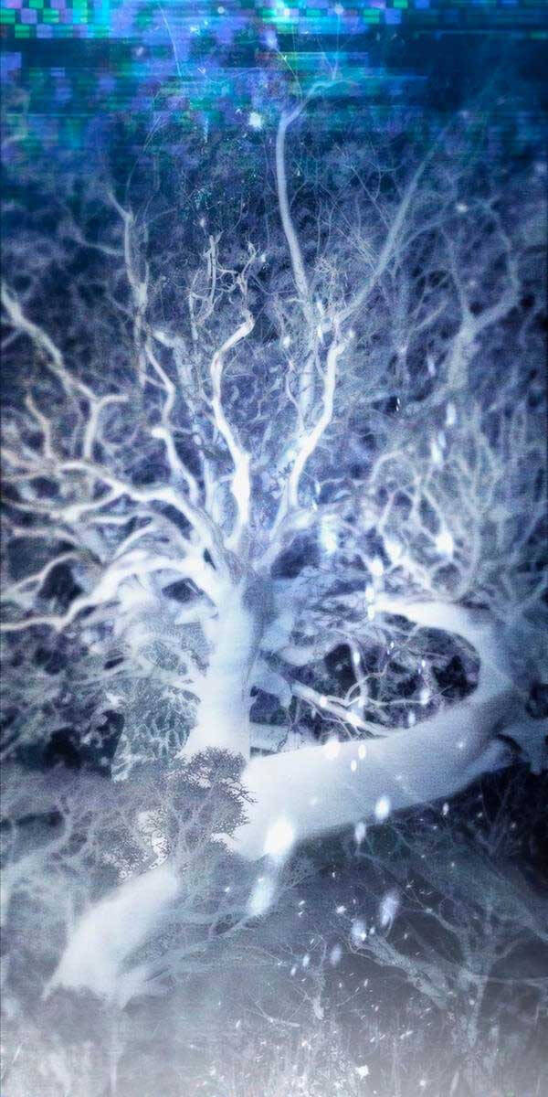 Những Ranker Cấp S Mà Tôi Nuôi Dưỡng Chap 95 - Next Chap 96