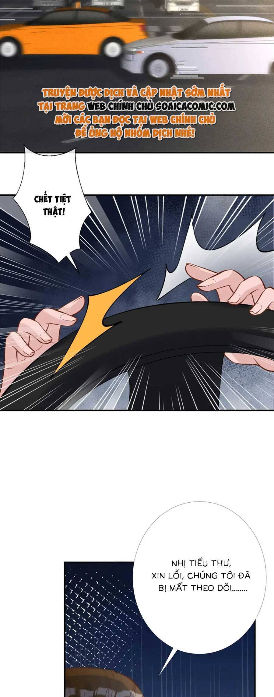 Ôm Khẩn Tiểu Mã Giáp Của Tôi Chap 176 - Next Chap 177