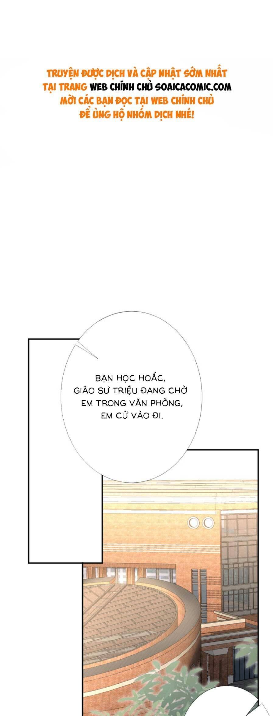 Ôm Khẩn Tiểu Mã Giáp Của Tôi Chap 193 - Next Chap 194