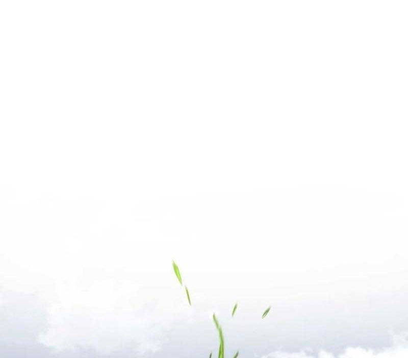 Đồ Long Chap 66 - Next Chap 67