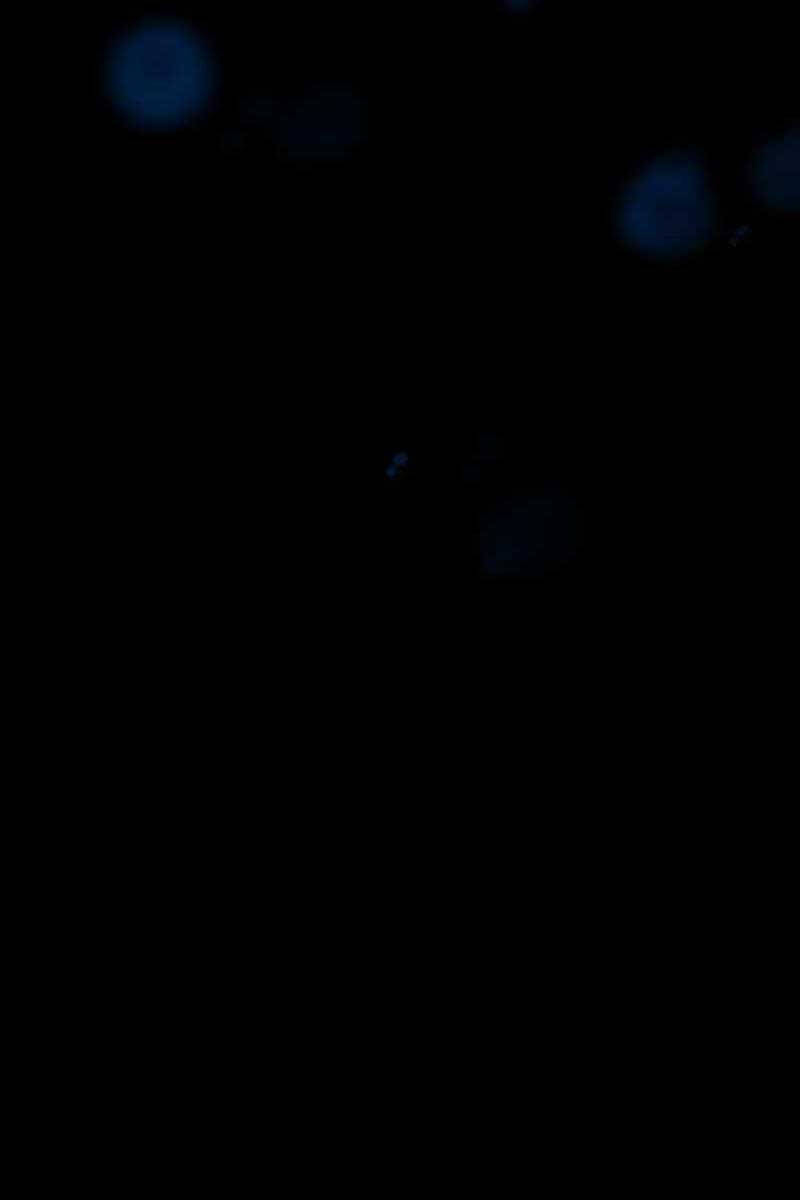 Con Trai Út Của Gia Đình Kiếm Thuật Danh Tiếng Chap 63 - Next Chap 64