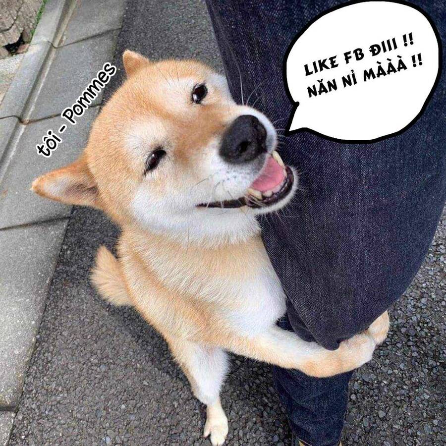 Soara Và Ngôi Nhà Cho Quái Vật Chap 18 - Next Chap 19