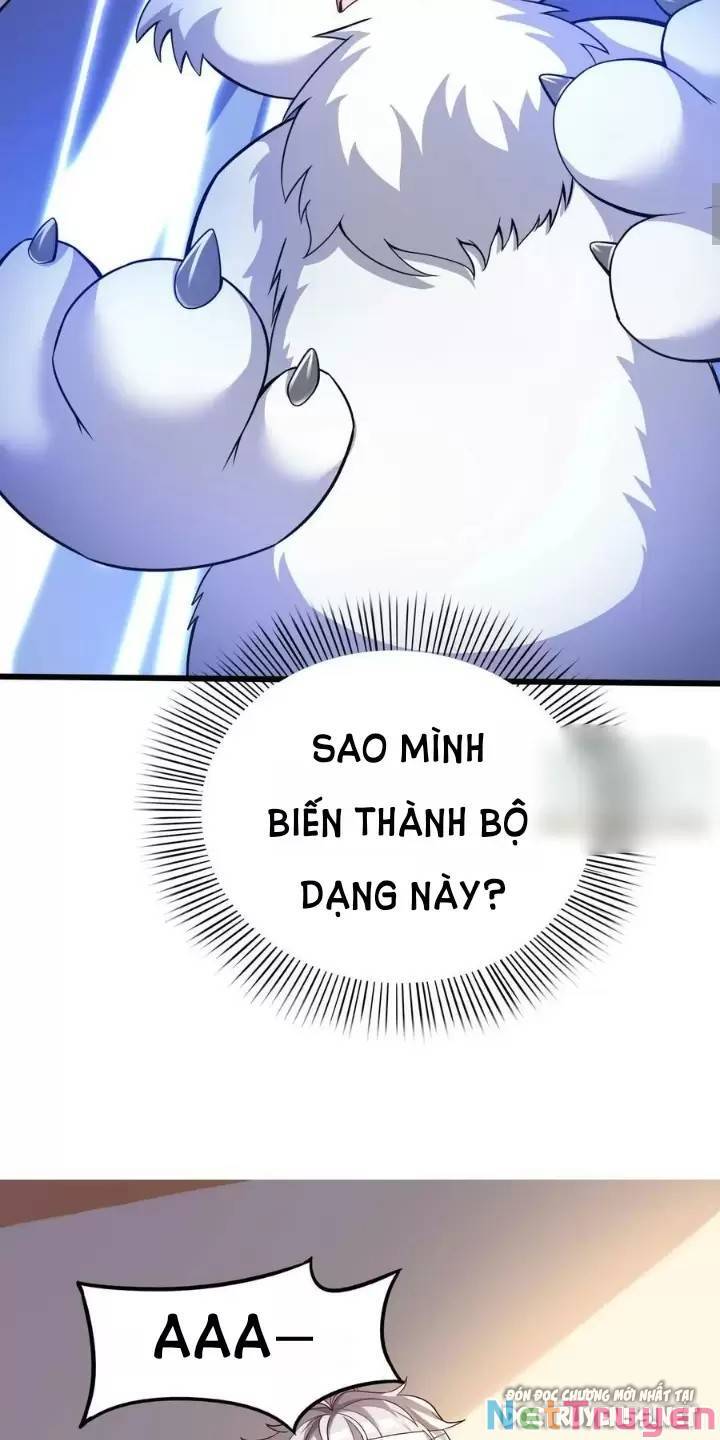 Linh Khí Khôi Phục: Ta Mỗi Ngày Thu Được Một Cái Kỹ Năng Mới Chap 18 - Next Chap 19
