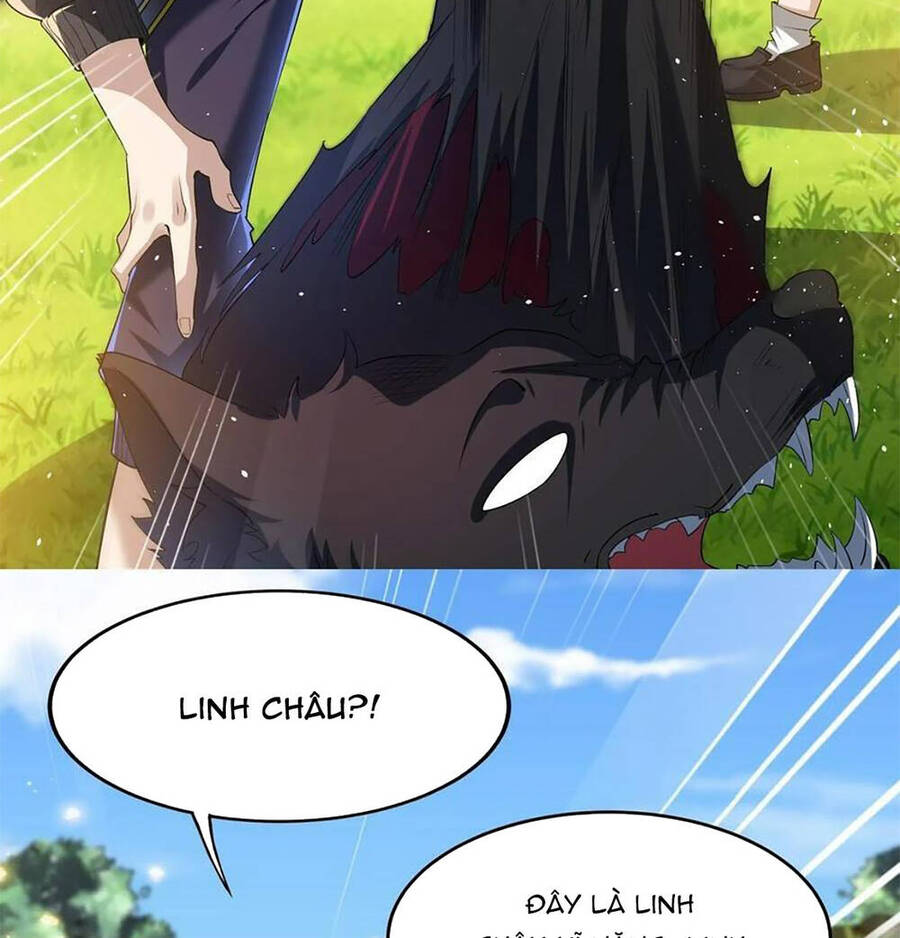 Linh Khí Khôi Phục: Ta Mỗi Ngày Thu Được Một Cái Kỹ Năng Mới Chap 23 - Next Chap 24