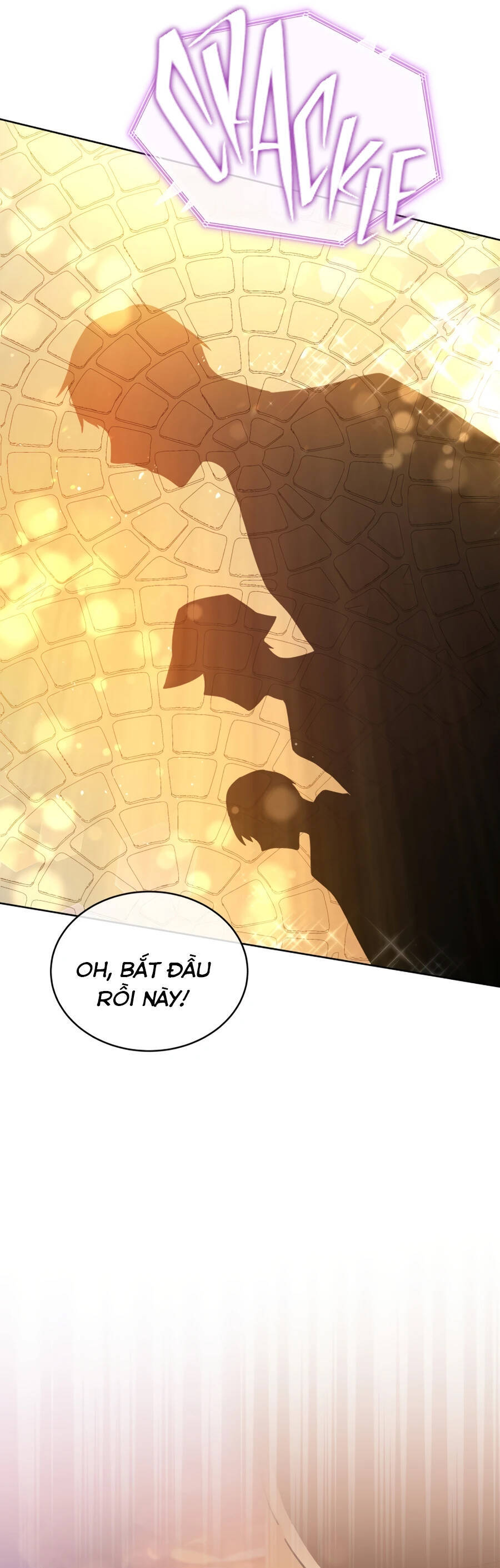 Cuộc Sống Thứ 2 Của Thần Tượng Toàn Năng Chap 4 - Next Chap 5