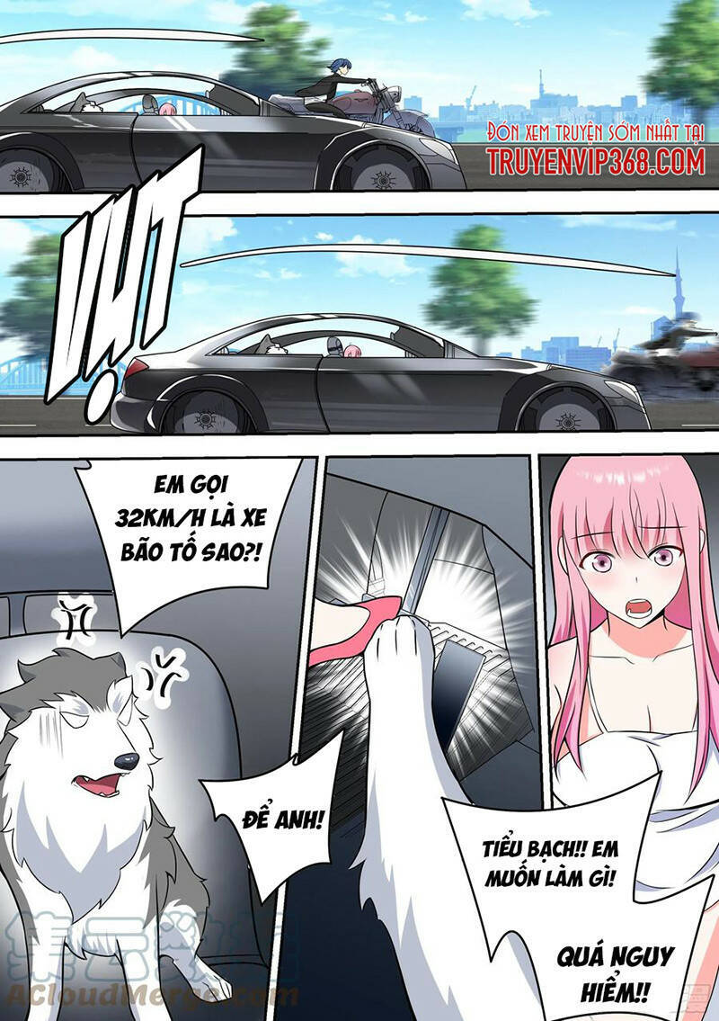 Trọng Sinh Thành Chó Của Nữ Thần Chap 63 - Next Chap 64